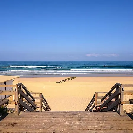 Apartmán La Apolonia Maison 6 Pp Piscine En Bord Aureilhan (Landes)